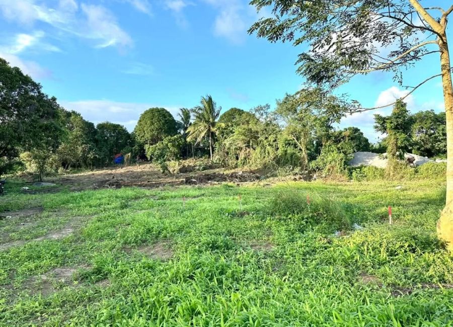 Affordable Farmlot in Cavite