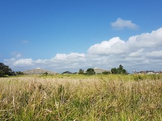 Calamba Industrial Land for Lease (43,000 Sq.M.)