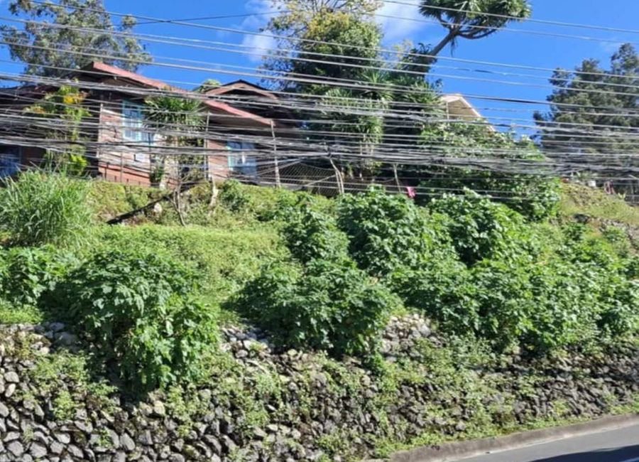 238 square meters Property along Rimando Road, Baguio City