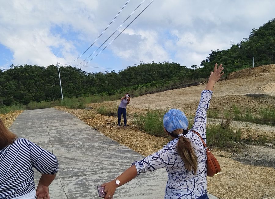 Titled Farmlot in Balamban Cebu