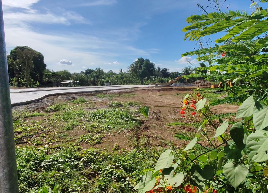 FREE TITLE FARM LOT for Sale In Amadeo Cavite Fast Selling Near Tagaytay City