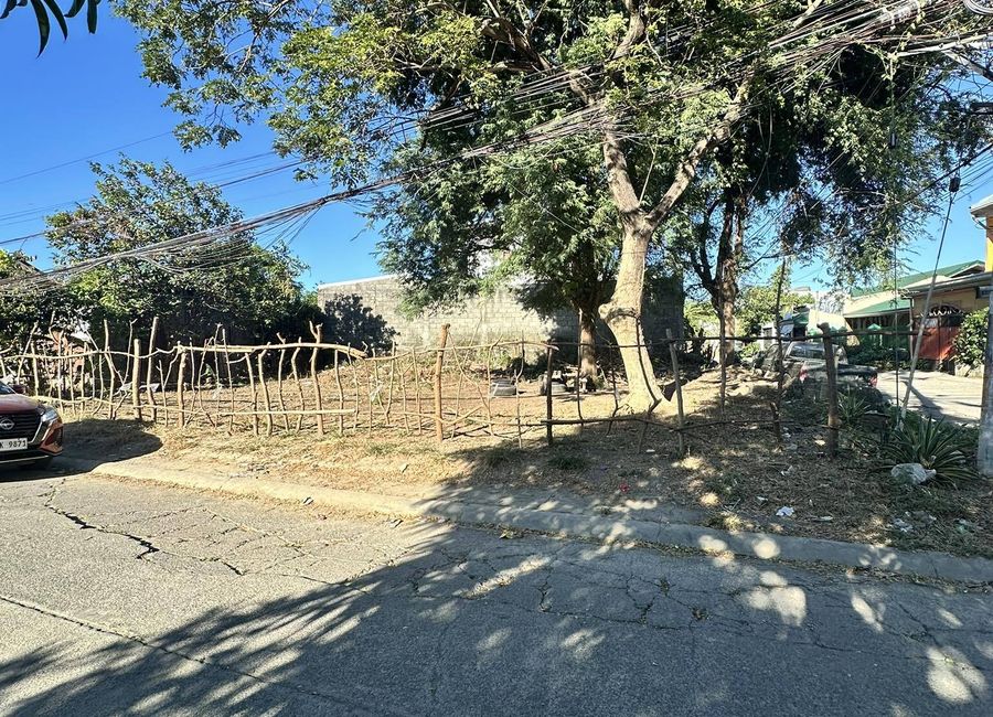 Corner lot 323sqm at Villa Benita Sub. , 5mins walk to SM Cabanatuan City