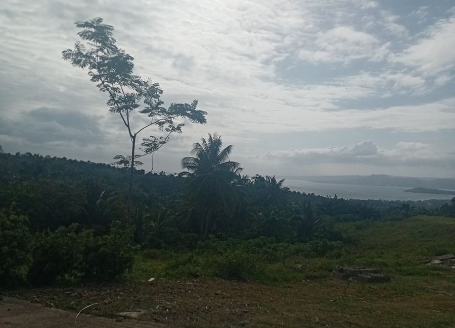 1-Hectare For Sale Farm Lot Overlooking Taal Volcano in Balete, Batangas