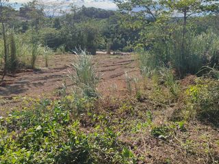177Sqm Lot For sale Located Inside Palo Alto