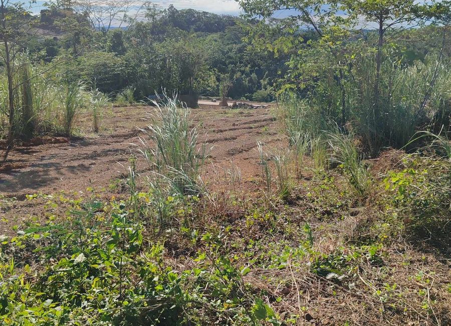 177Sqm Lot For sale Located Inside Palo Alto