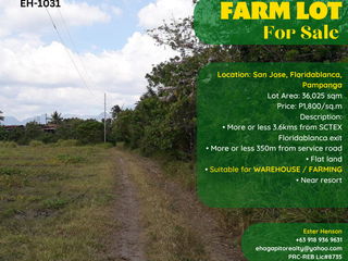 EH- 1031: ! For Sale ! Farm Lot Suitable for Warehousing / Farming located at  Floridablanca Pampanga