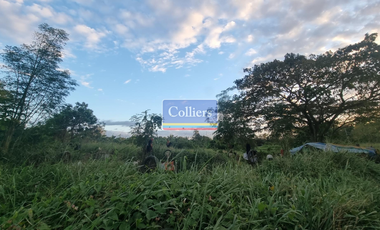FOR SALE: Industrial Land in Canlubang, Calamba City, Laguna