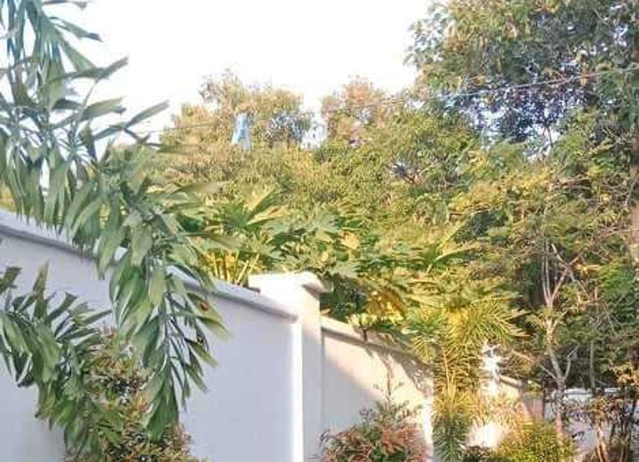 place photo 35