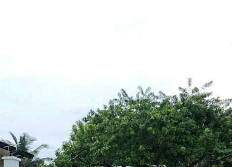 place photo 49