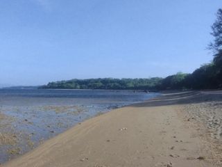 Beach row land best for high end residential resort devt