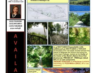 Looking for investment partners for VERDE ISLAND Batangas Resort and Development