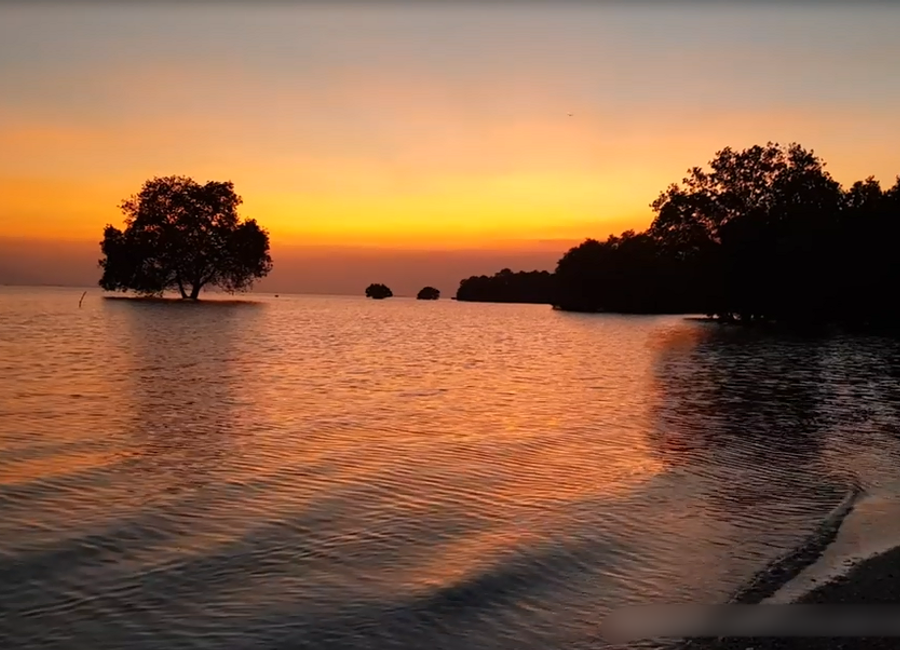 Residential Lot for Sale near Beach at South Coast - Matabungkay Lian Batangas