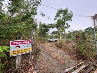 Rosario Batangas 1.4 hectares Mahogany Farm, Piggery, Poultry near Batangas Racing Circuit