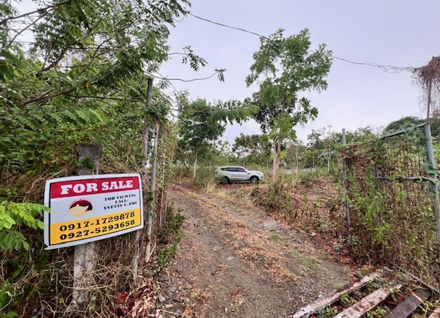 Rosario Batangas 1.4 hectares Mahogany Farm, Piggery, Poultry near Batangas Racing Circuit
