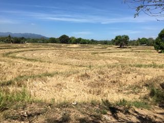 8 Hectares Titled Lots for Sale in Mulawin, Orani, Bataan