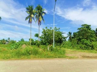 4,820 Sqm Commercial lot for Sale located in New Buswang, Kalibo, Aklan