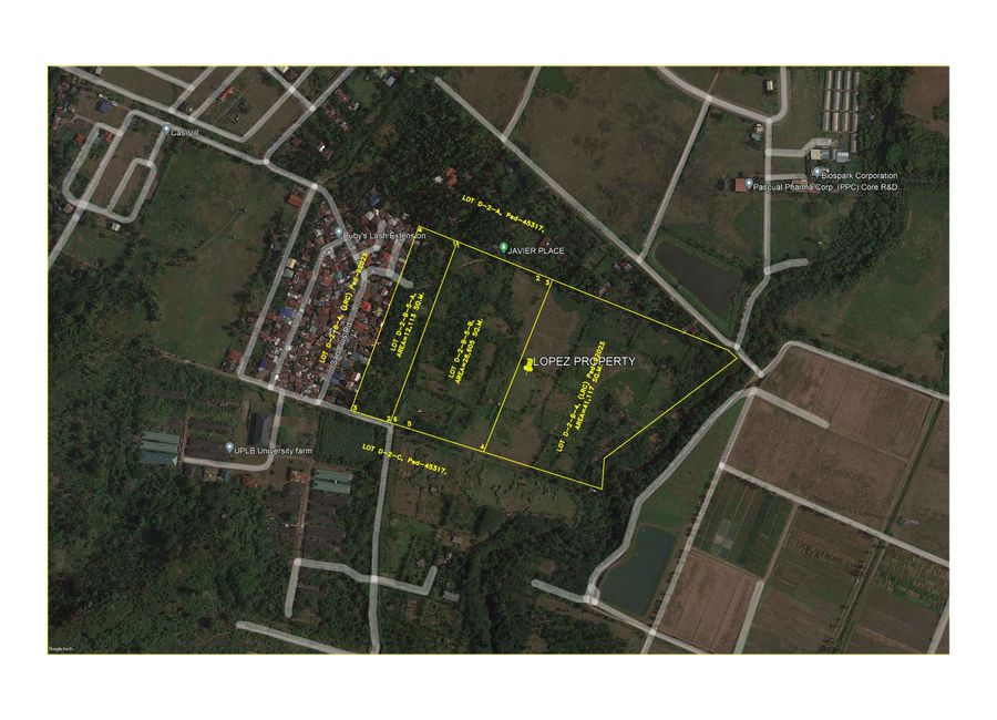 LOT FOR SALE BESIDES U.P LOS BAÑOS LAGUNA