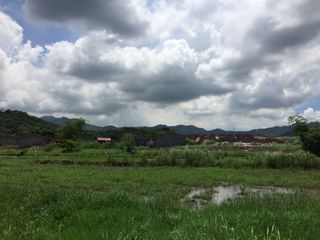 For Sale 26,194 sqm Agricultural Lot in Barangay Pinugay, Baras Rizal