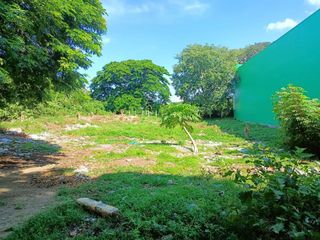 Vacant Lot: Lot 18666A Barrio Road, Cuta, Batangas City - 1,505 sqm. for sale