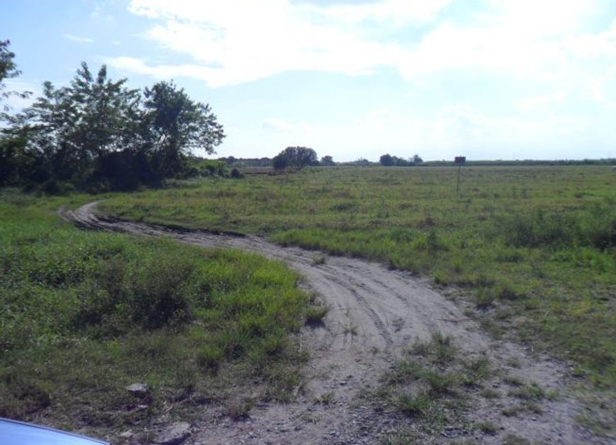 For Sale Agriculture Land Magalang Barangay San Ildelfonso Pampanga