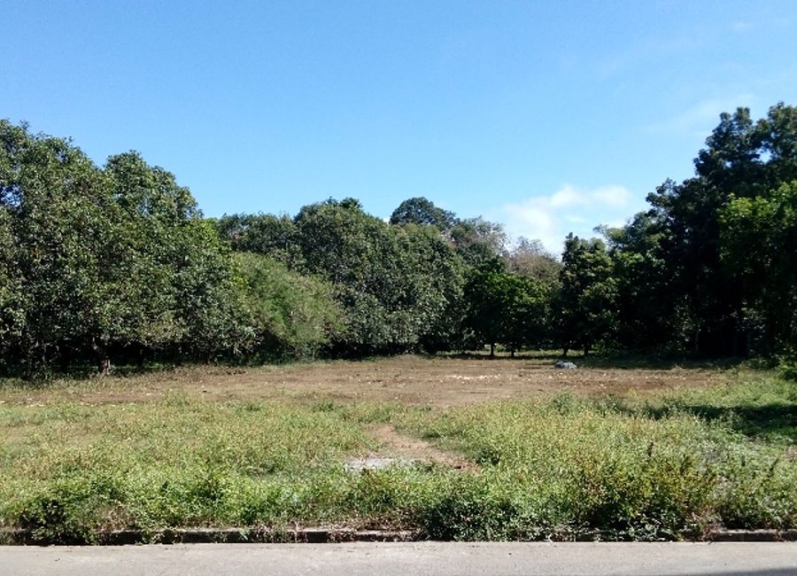 Residential Farm for Sale in Lagundi Morong Rizal