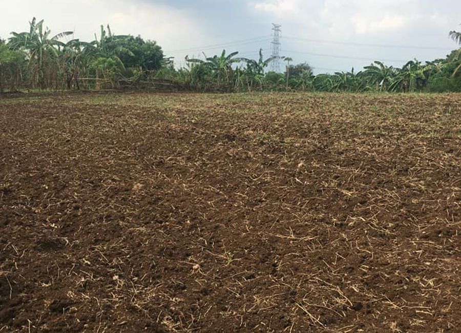 For Sale Lot in Greenfield Heights Subdivision, Dasmariñas Cavite, Sampaloc II