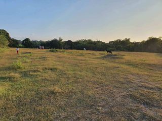 For Sale Lot at Langkaan 1.7 Hectares Dasmariñas City Cavite ideal for Housing