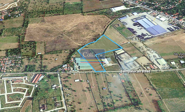 Industrial Lot for Sale in Santo Tomas, Batangas