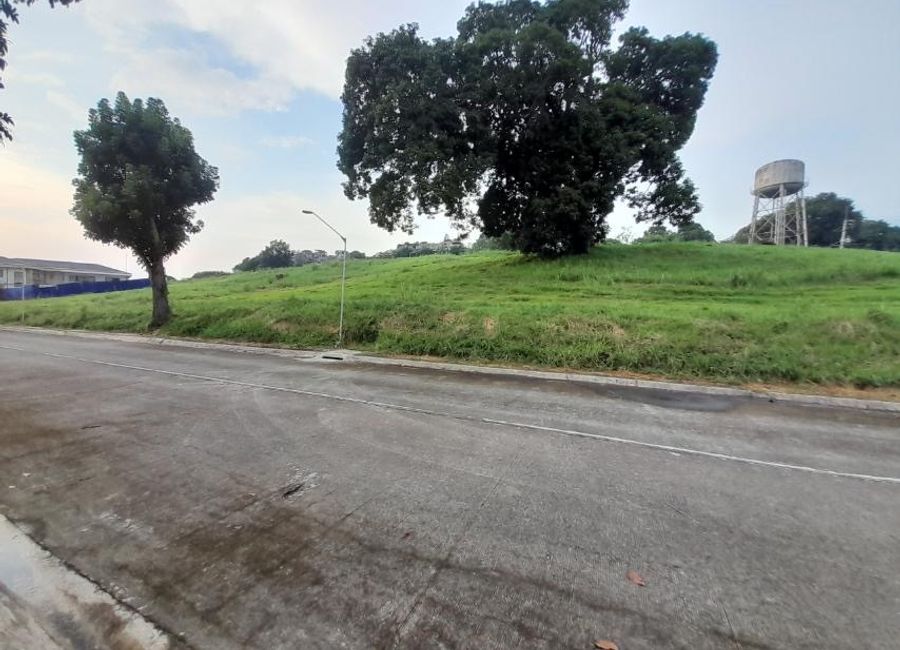 MANILA SOUTHWOODS Lot For Sale PHASE 2 30k per sqm only