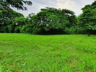 Tayabas City Calumpang  Along Maharlika Highway Lot for Sale