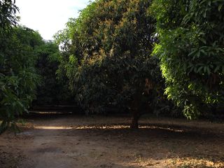 For Sale 4.1 Hectare Farm Lot in Santa Lucia, Magalang, Pampanga