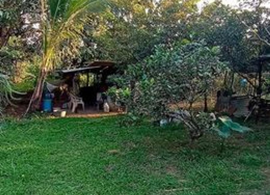 7,500sqm. LOT FOR SALE CLEAN TITLE INDANG CAVITE