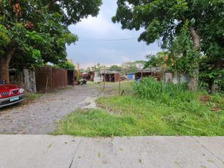 For Sale: Raw Land for Development in Calamba, Laguna (Near Ayala Greenfield Estates)