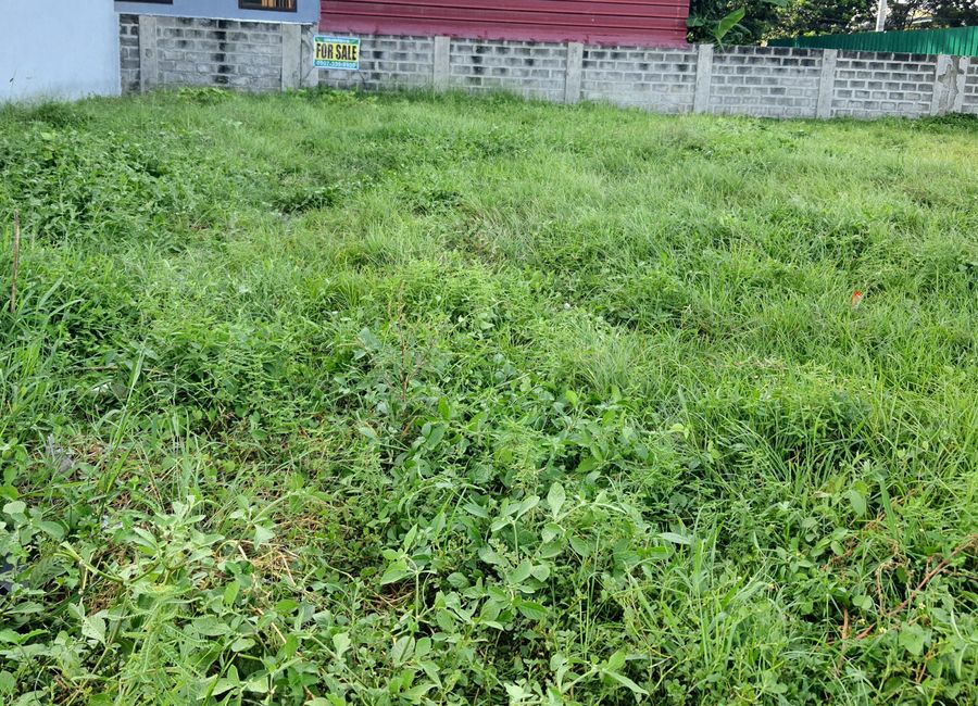 Commercial Lot For Sale near SM Mall Rosario Cavite and EPZA Industrial zone