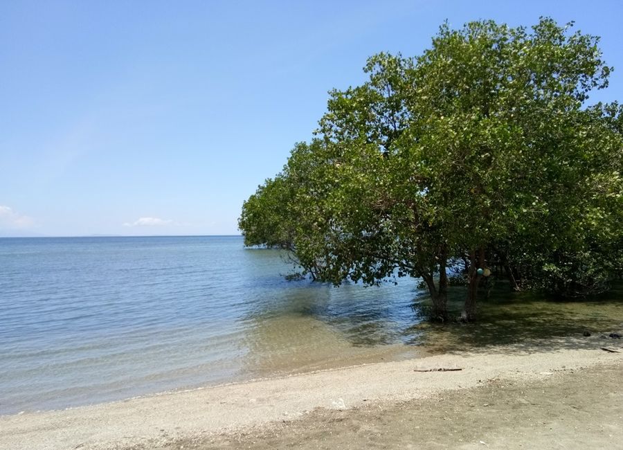 Beach Lot for Sale - South Coast Matabungkay, Lian, Batangas