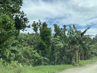 For Sale: 5,400 sq. meters Farm lot in Bulacnin, Lipa City, Batangas