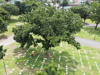 For Sale Manila Memorial Park Dasmariñas - Lawn Lot Sampaloc I