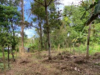 500 sqm. Residential Lot for Sale in Sermon, Sibalom, Antique