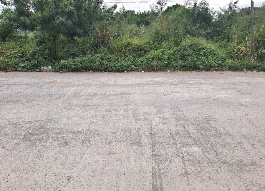 Commercial Lot for Sale at Gen Trias City Cavite along main road near EPZA