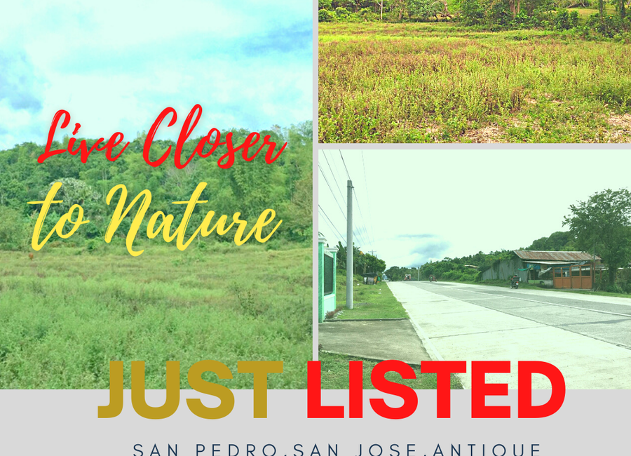 250 square meters Residential Lot for Sale in San Jose, Antique