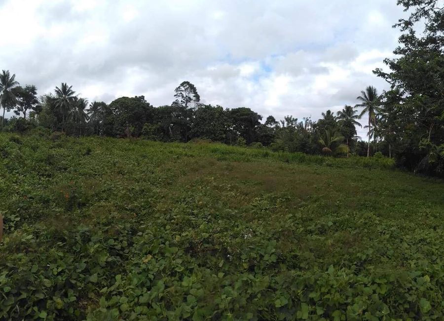 1-ha. Tagurano, Toril Overlooking Lot For Sale