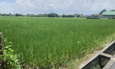 For Sale : 4 Hectares residential lot in Magalang Pampanga
