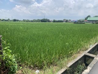 For Sale : 4 Hectares residential lot in Magalang Pampanga