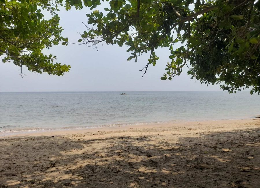 Beach lot Property For Sale in Binuangan, Bagac, Bataan