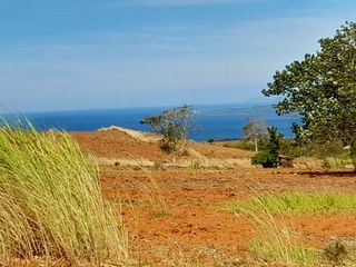 For Sale: Overlooking 500 sqm Farm Lot in Bagac City, Bataan
