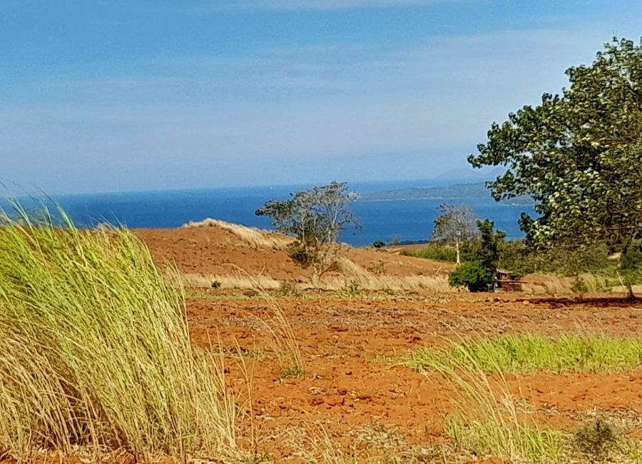 For Sale: Overlooking 500 sqm Farm Lot in Bagac City, Bataan