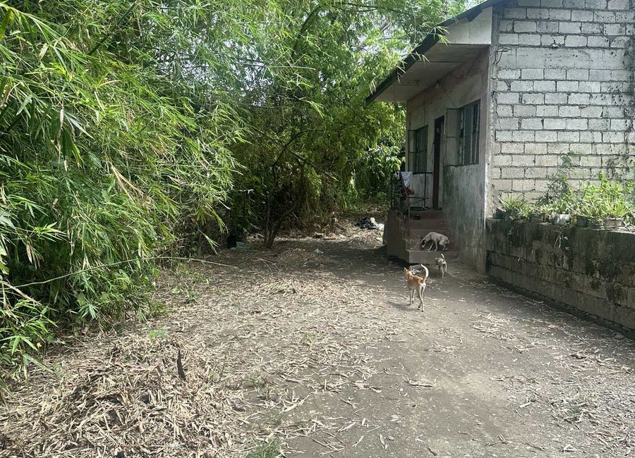 Lot for sale at Fajardo st. Aduas Centro, Cabanatuan City near 7/11 main road