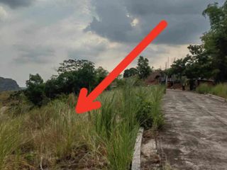 ORO VISTA GRANDE Lot for Sale! Along Marcos Highway