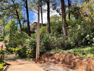 700 Square Meters Lot in Baguio City