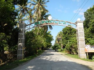 For Sale Agricultural Flat  Land in Agoncillo Batangas Near National Highway